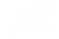 ChatGPT Image Sep 11, 2026, 04_14_49 PM.png
