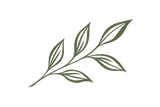 ChatGPT Image Sep 11, 2026, 04_11_23 PM.png
