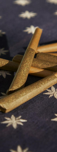 Enjoy a variety of hemp flower strains at The Ganja Garden