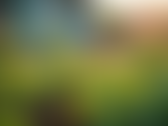 Como a Ciência do Campo Transforma o Ensino