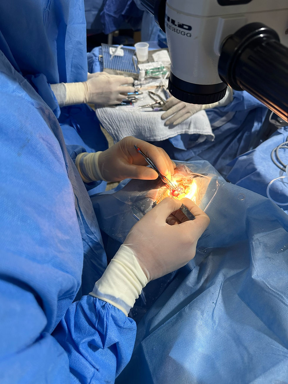 corneal transplant.JPG