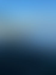 災害復旧ボランティアの募集