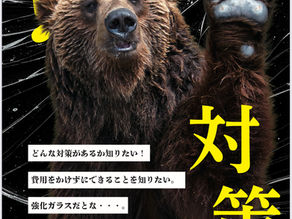 リフォーム会社の挑戦!ポリカーボネート板でくま対策!