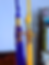 sigma gamma rho Graduation Tassel