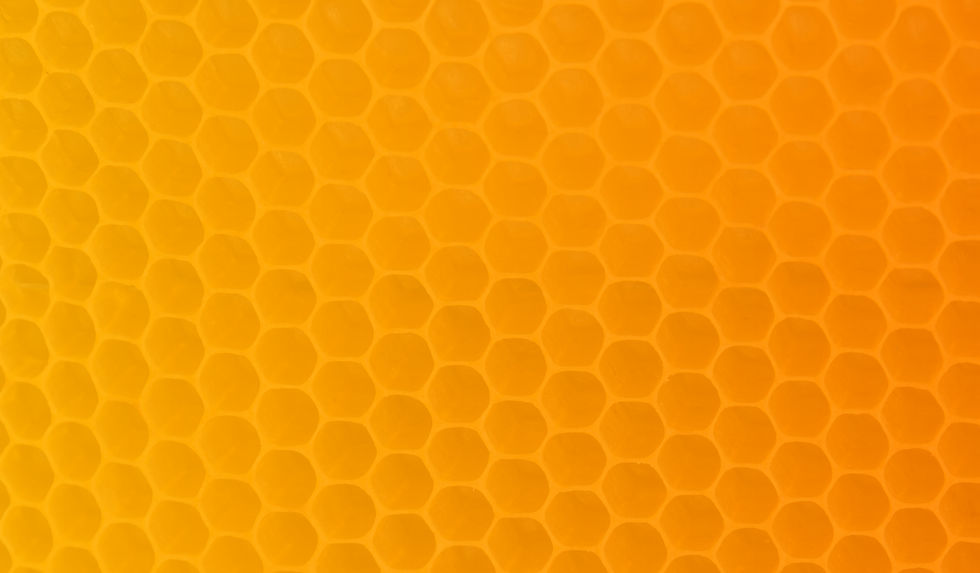 Bubble-Honey-fondo.jpg