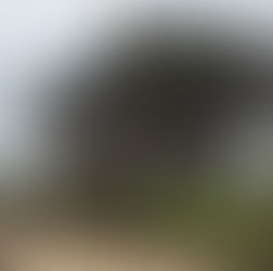 Return of El Nino bodes ill for Inverloch Beach,