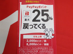 PayPay ペイペイ 最大25％（ポイント）戻ってくるキャンペーン