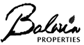 Balwin Properties