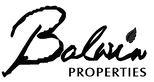 balwin-logo_edited.png