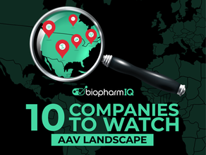AAV Companies