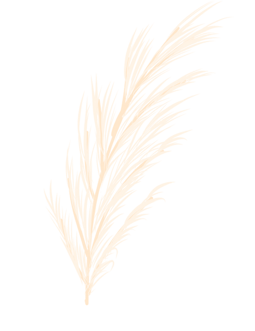Untitled design (15).png
