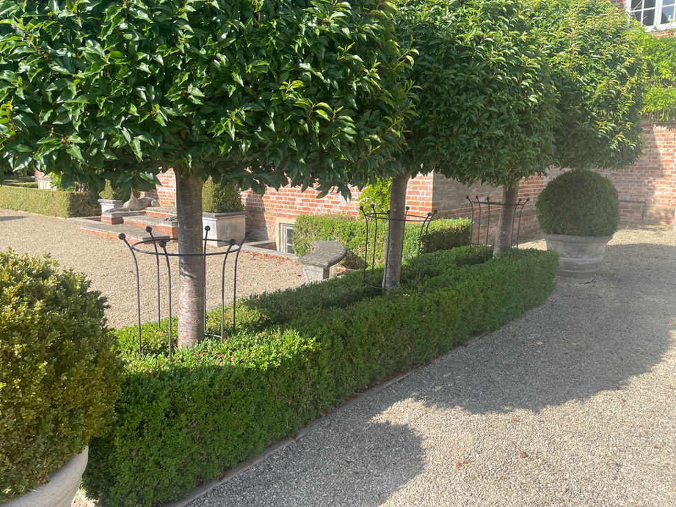 Box hedge feature.