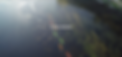 Screenshot 2020-08-12 at 18.35.13.png