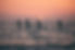 0N8A7905.jpg
