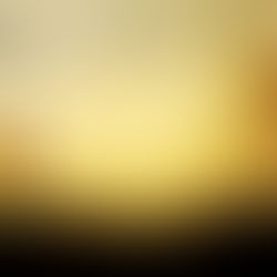 Key ways to have a Happier Living