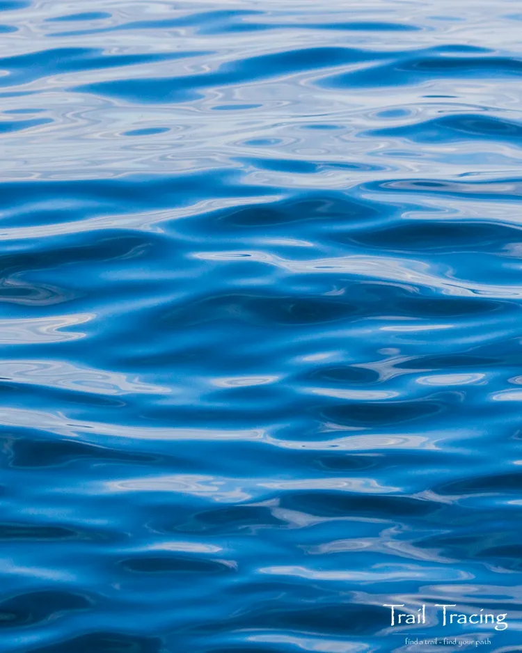 background.webp