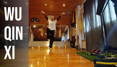 Wu Qin Xin(2)-Cover.jpg
