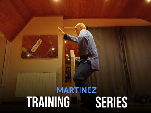 Training Series 9 | Martial and Music Arts (Japanese Makiwara & Spanish Rythm)
