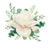 shutterstock_743314045 (1).png