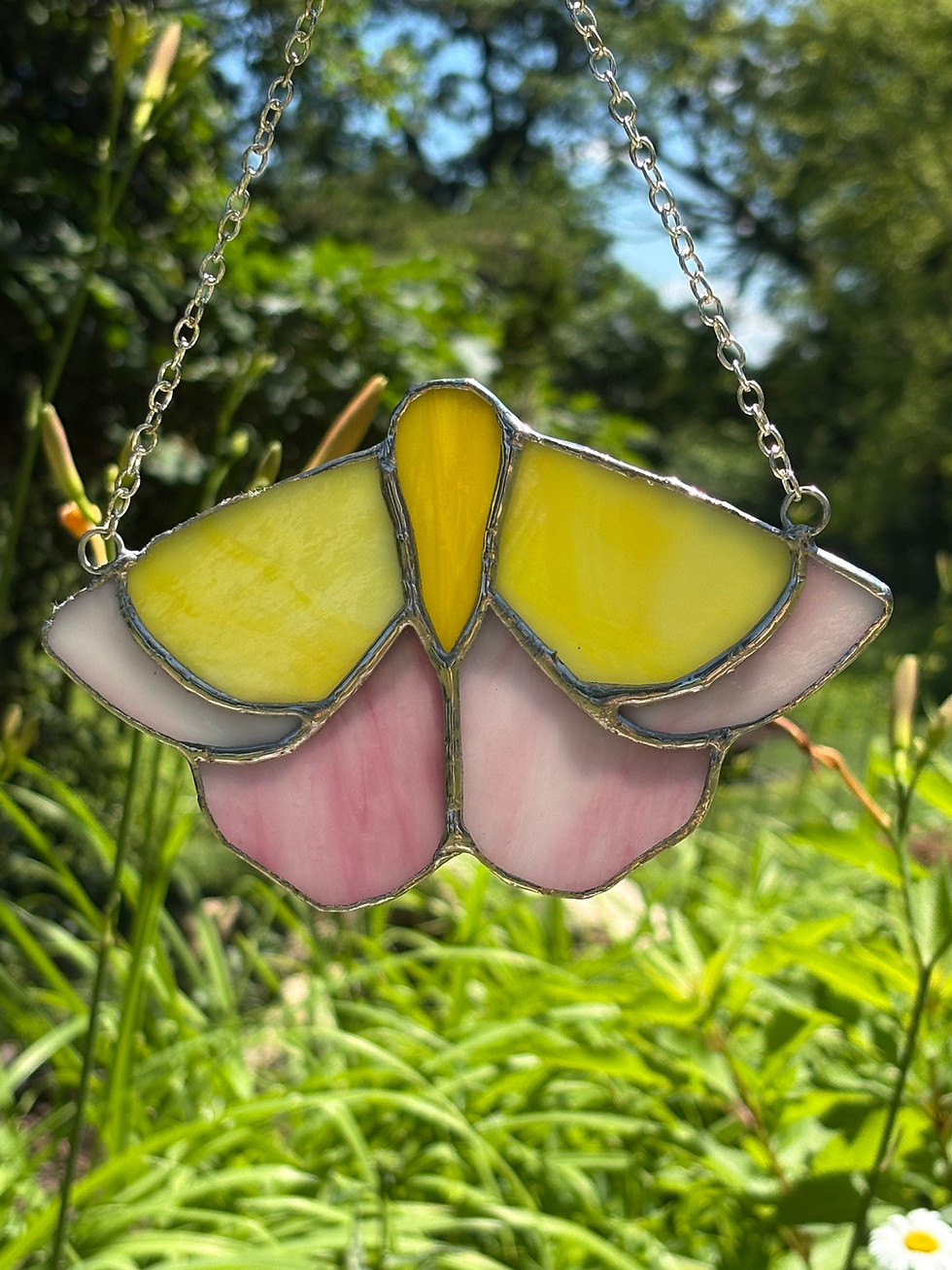 Thumbnail: Stained Glass Rosy Maple Moth
