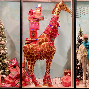 Gilda The Giraffe