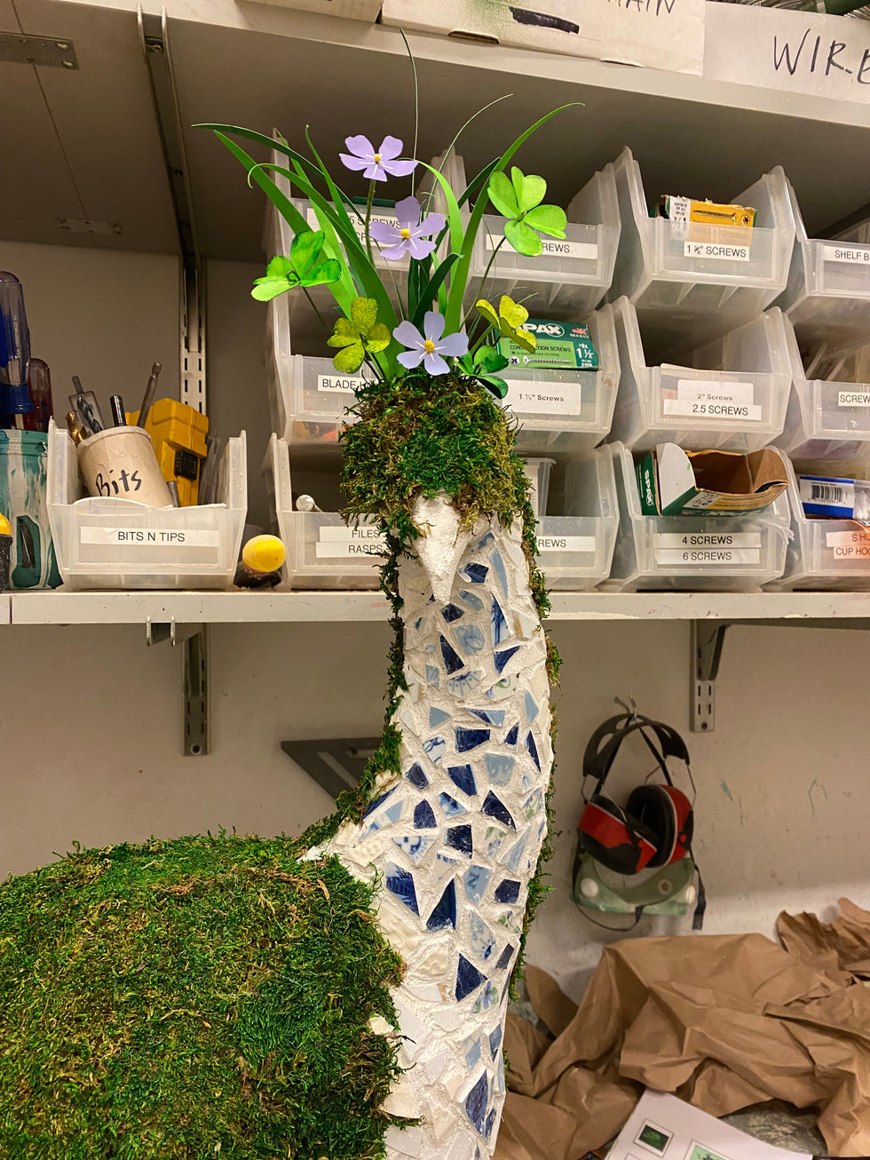 Head of peacock