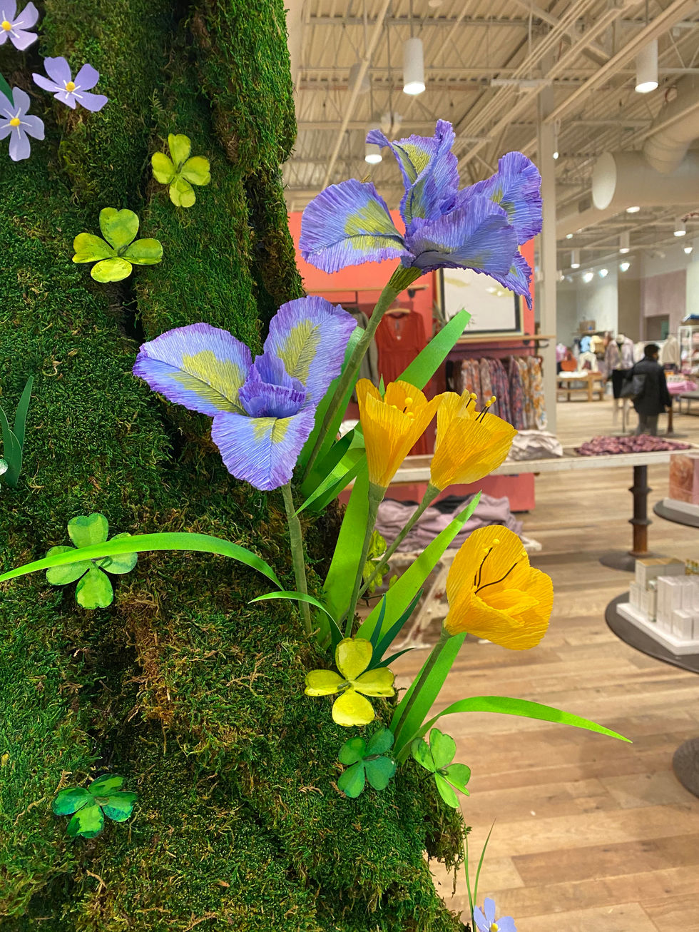 Iris Flower