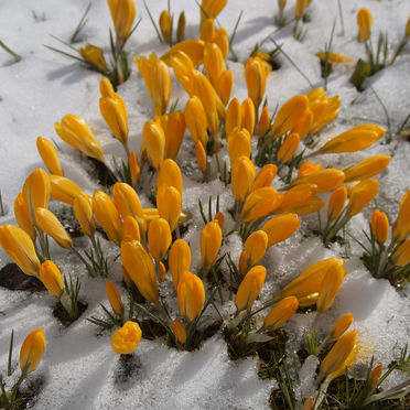 Are Millennials just late bloomers?