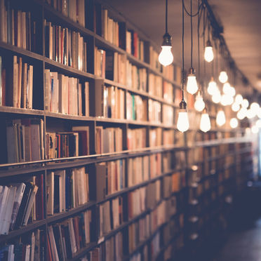 What You Focus on Expands