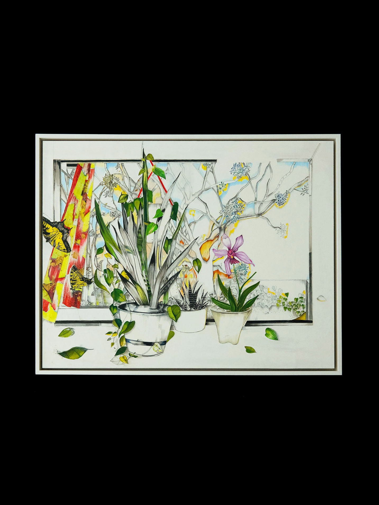 THROUGH THE LOOKING GLASS