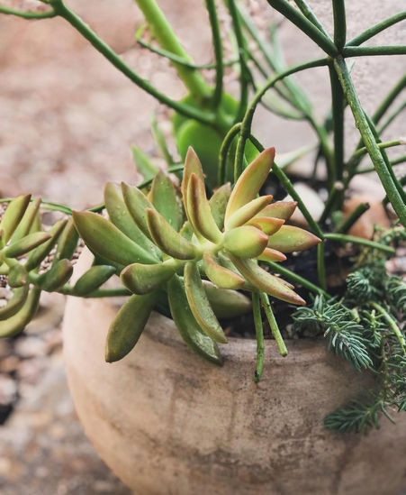 Spring Happenings at Victrola Studio