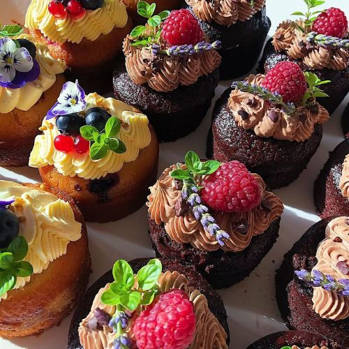 Eat & Mess Mini Cake Selection