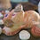 Miniature : Tiger Sphinx