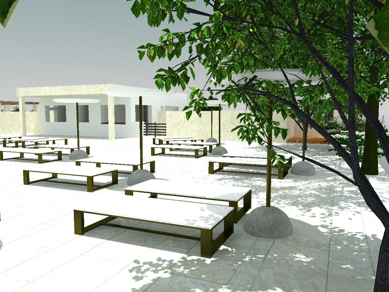 a placeholder image.