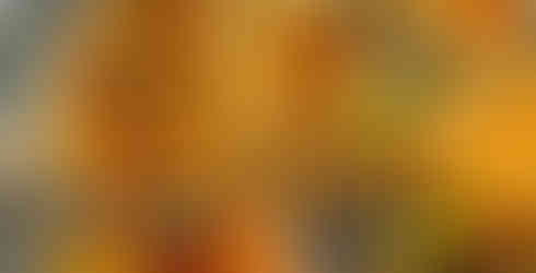 Pizza at Piasano's in College Station Texas