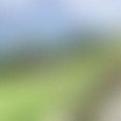 Seniorenreise von Donnerstag, 5. September 2024