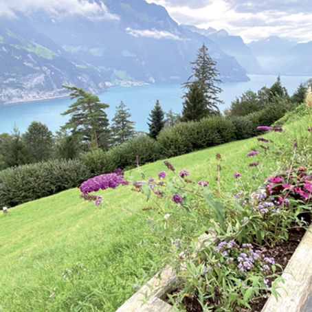 Seniorenreise von Donnerstag, 5. September 2024