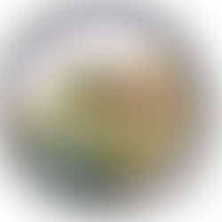 Cicindela theatina, Great Sand Dunes Tiger Beetle