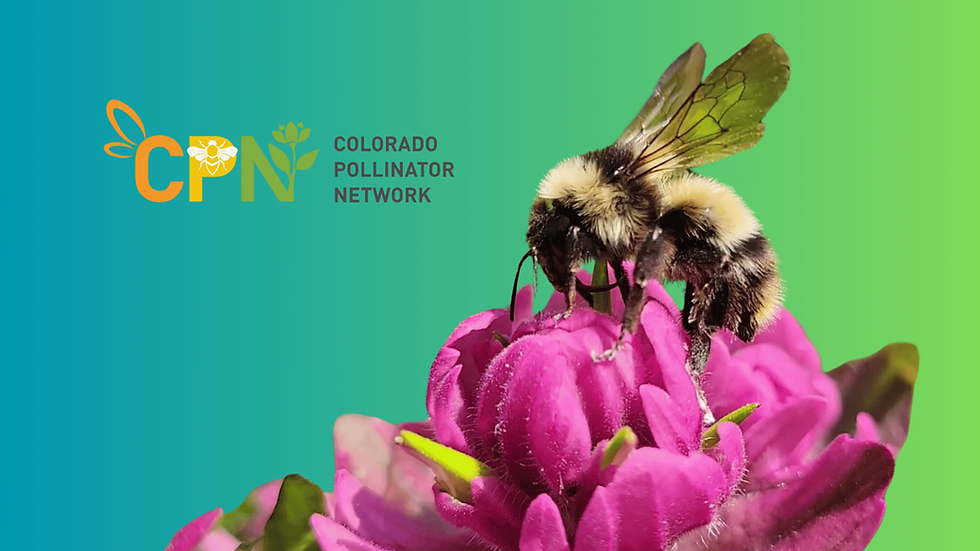 10th Annual Colorado Pollinator Summit: Empowered for Pollinators