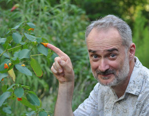 How Flowers Made Our World Webinar