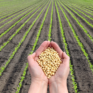 Help Us Prove That Pesticides Are Overused in Ag — Tell Your Farmer Friends!