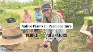 Native Plants in Permaculture Webinar Recording & Resources
