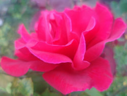 Hello to all my friends