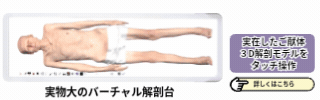 Anatomage Japan_バナー320x100.gif