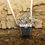 Thumbnail: Plant Pot Necklace Wood Background Back View
