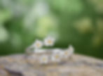 Daisy_Chain_Ring_Front_View.jpg
