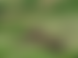 Bir Dağ Masalı - Orada Bir Köy Var Uzakta ⛰️👩🏫👧👦