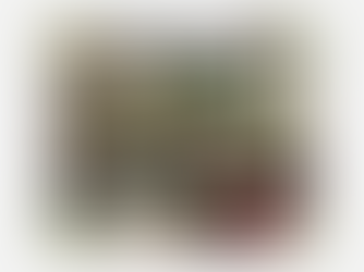 Greenhouses as Main Learning Spaces🌱🌱