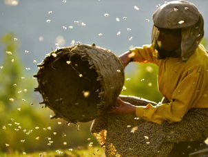 Exploring Relational Pedagogy through the Movie Honeyland🐝🍯