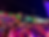 0G8A0355 1.png